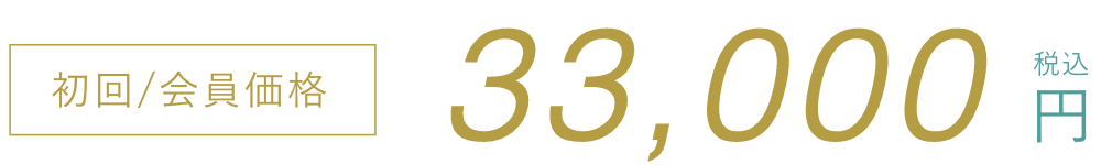 初回/会員価格33,000円