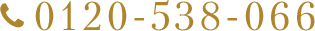 0120-538-066